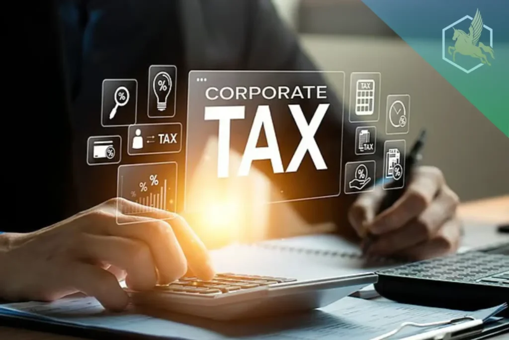 Business Tax Services